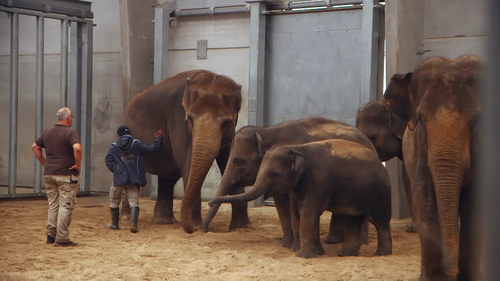 capture_5_Naissances au zoo - au secours des espèces en danger __06_ZI_0038_proxy_large