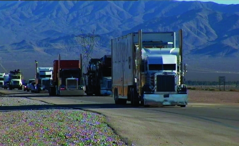 Routiers américains : l’impitoyable loi du bitume