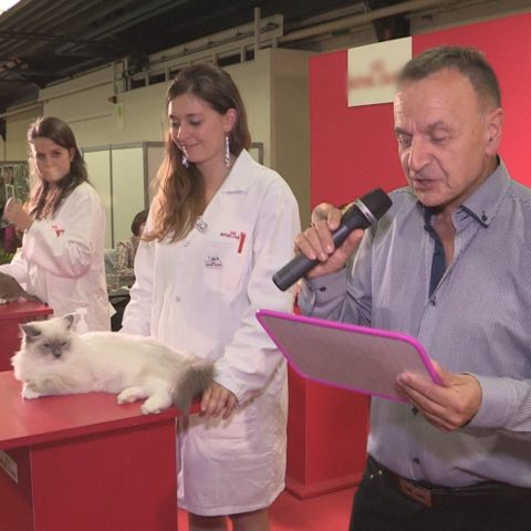 ANIMAL EXPO: le salon animalier de la démesure