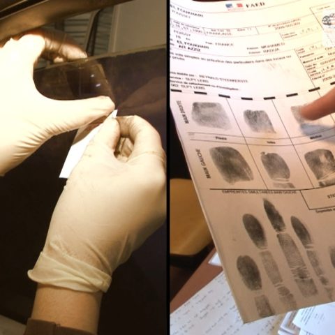 BRAQUAGE, INDIC ET ADN