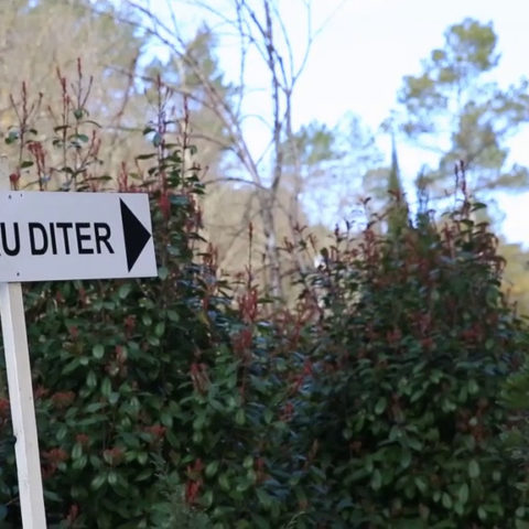 Château Diter: le palais de la discorde