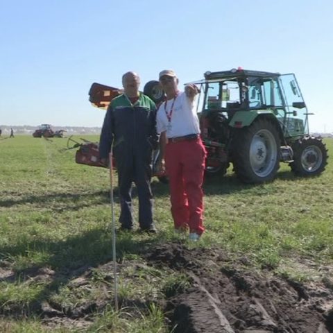 Labour est dans le pré!