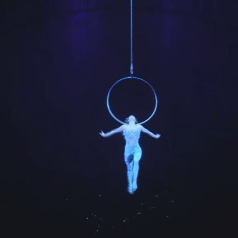 Cirque du Soleil, un show mondial