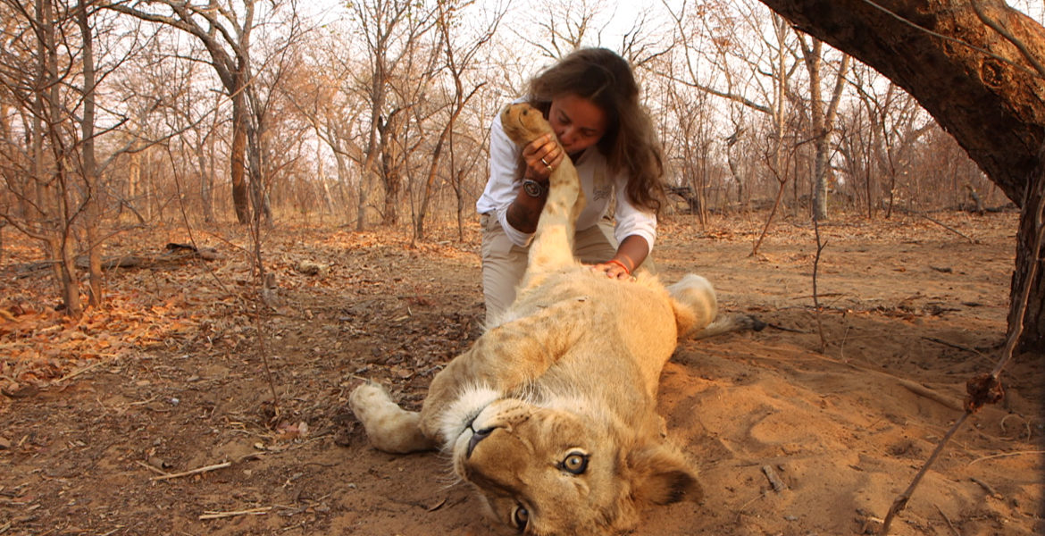 27 déc 19 – C8 “Ils vivent avec des animaux sauvages : leurs incroyables amitiés ” à 21H15.