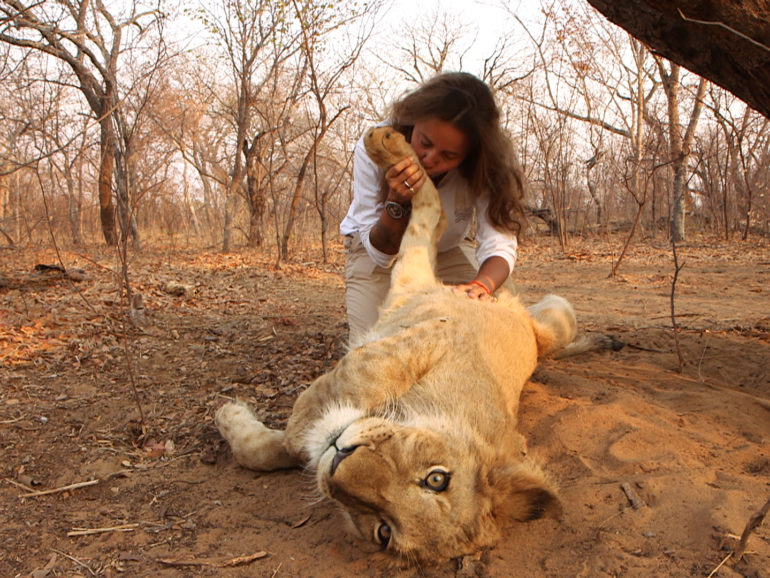 27 déc 19 – C8 “Ils vivent avec des animaux sauvages : leurs incroyables amitiés ” à 21H15.