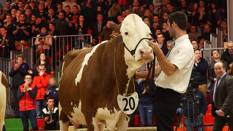 19 fév. 20 – RMC Story “Dans les coulisses du salon de l’agriculture” à 20H55.