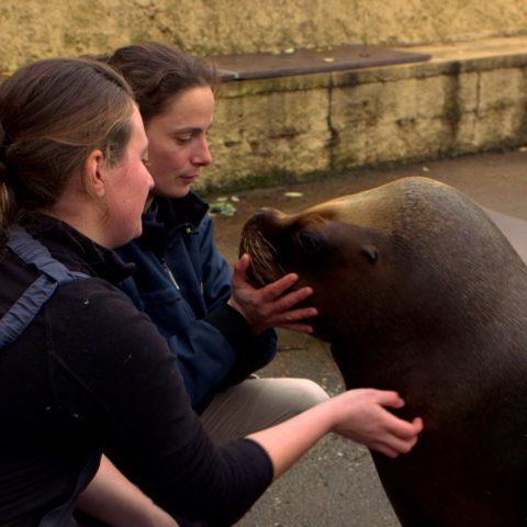 100 jours avec les animaux du Pal, le plus grand zoo d’Auvergne