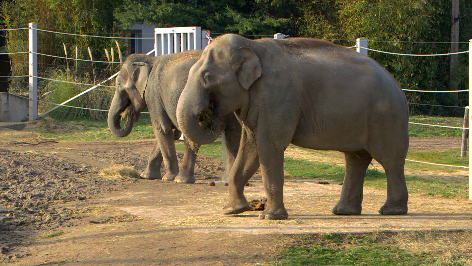 Le Plus Grand Zoo Du Monde Le Plus Grand Zoo Du Monde | AUTOMASITES