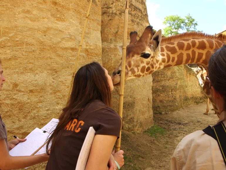 31 oct. 20 – C8 “100 jours avec les animaux du Bioparc de Doué-la-Fontaine” INÉDIT à 21h05