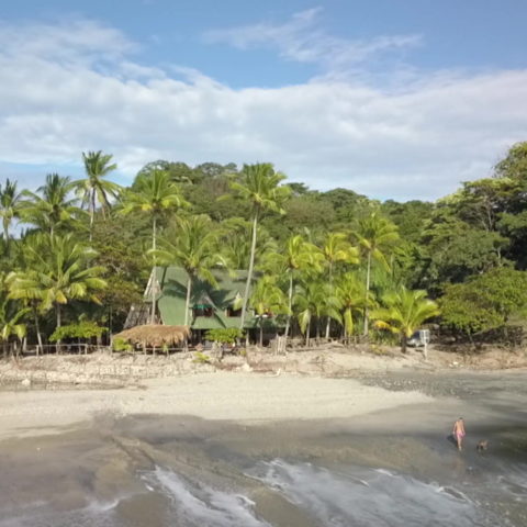 Costa Rica : enquête sur un paradis écolo