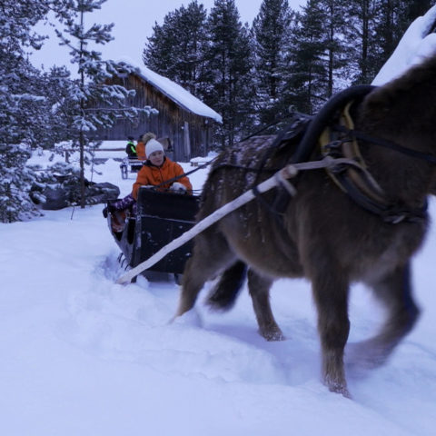 Finlande : le pays du bonheur face à la menace russe