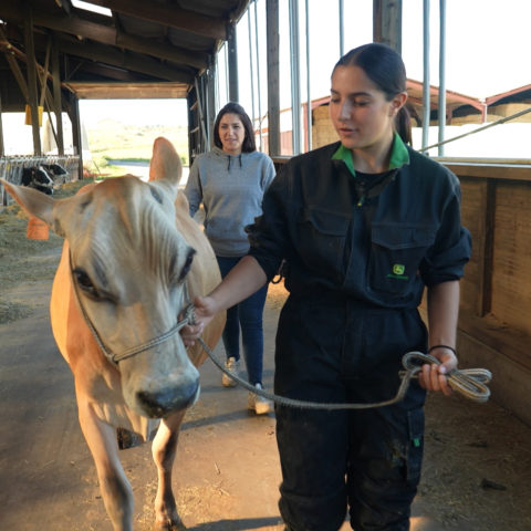 Foires agricoles : les femmes sur le podium