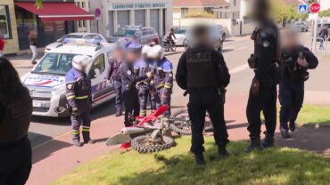 21 février : Enquête d’action, W9 : “Accidents, alcool, squatteurs : la police de Dreux en alerte”