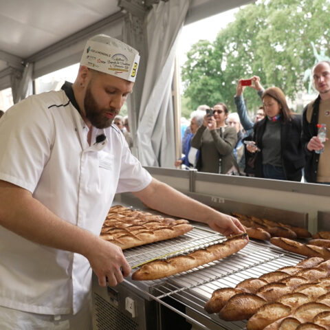 Qui sera le roi de la baguette ?
