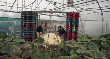 7 mars 26, Grands Reportages TF1 “CONCOURS DE JARDINAGE : qui aura la main la plus verte?”