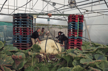 7 mars 26, Grands Reportages TF1 “CONCOURS DE JARDINAGE : qui aura la main la plus verte?”