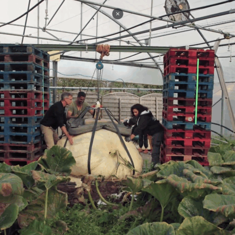 7.03 CONCOURS DE JARDINAGE : qui aura la main la plus verte ?