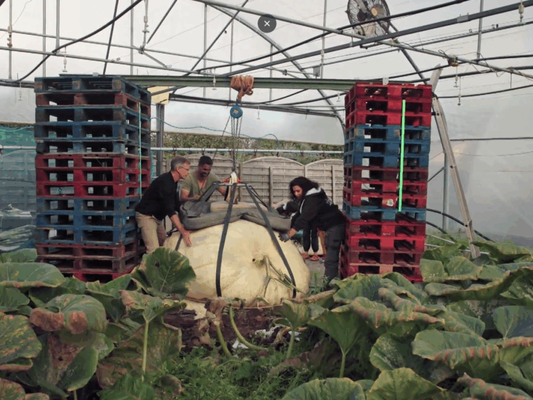 7 mars 26, Grands Reportages TF1 “CONCOURS DE JARDINAGE : qui aura la main la plus verte?”